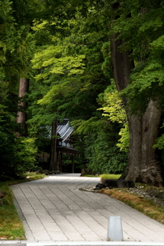 弥彦神社にて①