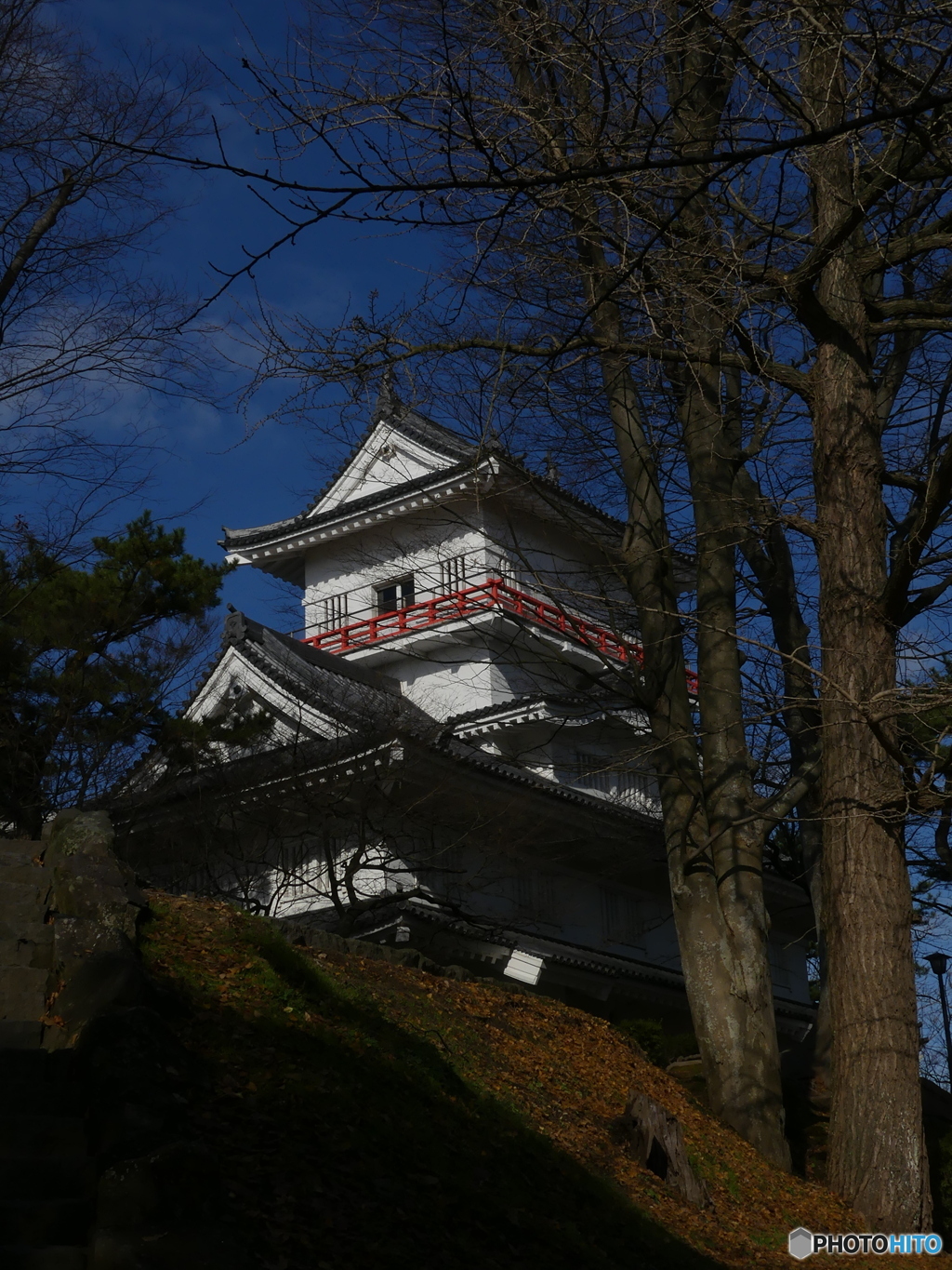 地元の公園を散歩②