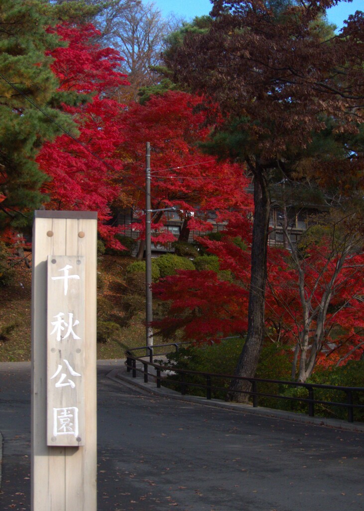 公園入り口での一枚