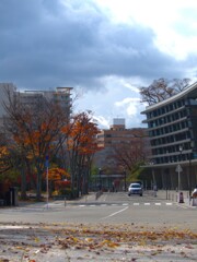 木枯らしに吹かれて
