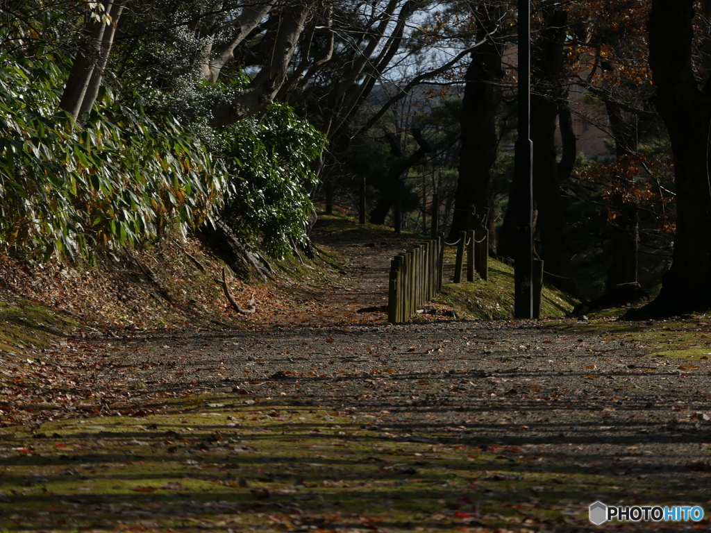 まだ紅葉してました⑥