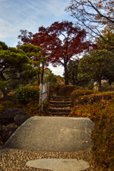 DSC_0023 (4)