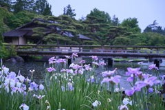 初夏の風景