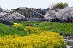 春の饗宴Ⅱ