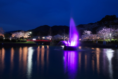 甘木公園の夜景