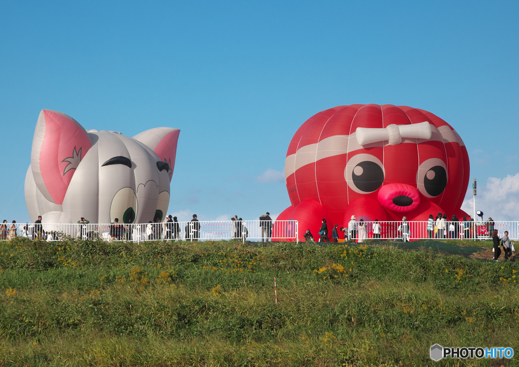 面白い形状の熱気球