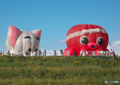 面白い形状の熱気球