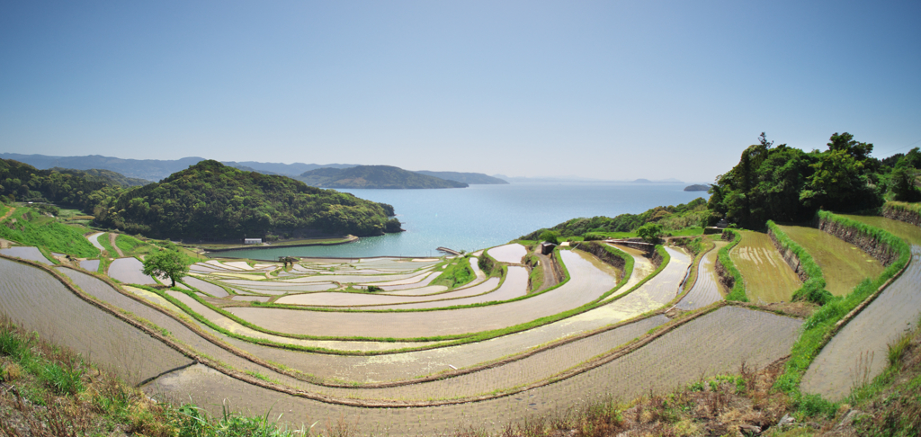 松浦市の春