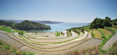 松浦市の春