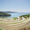 松浦市の春
