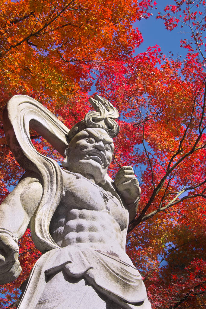 紅葉