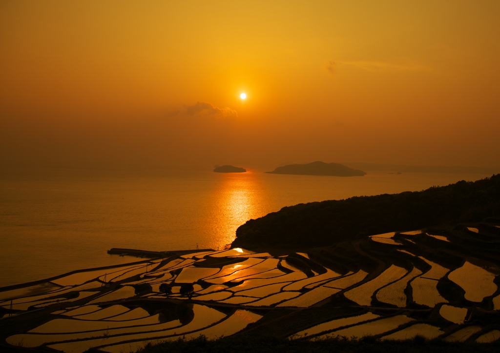 棚田の夕陽