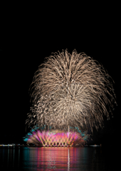 5年ぶりの花火