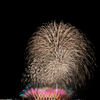 5年ぶりの花火