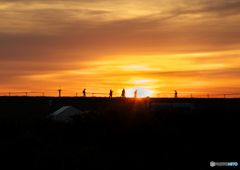 2025熱気球大会(夜明け) 2025熱気球大会(夜明け)