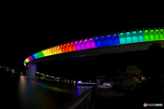 季節限定ライトアップ