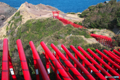 海岸の赤い鳥居