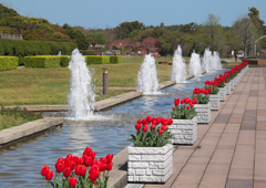 海浜公園