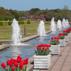 海浜公園