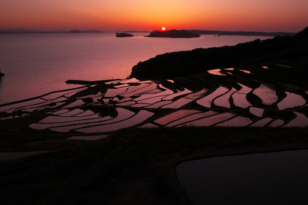 夕暮れの棚田