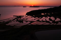 夕暮れの棚田