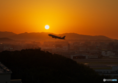 飛び立つ旅客機