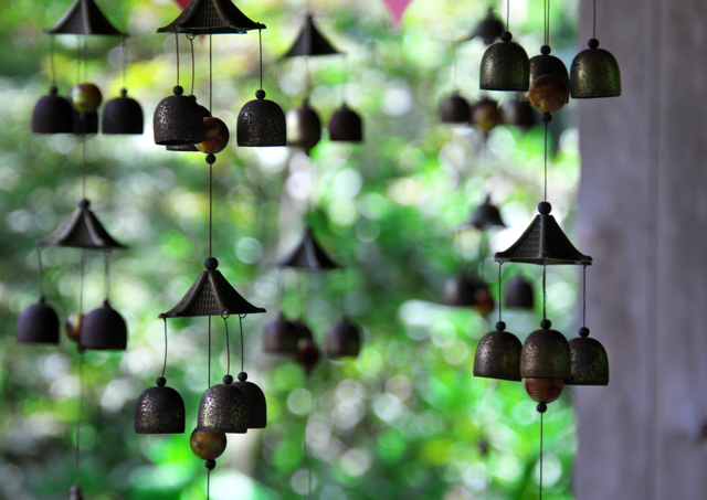 物・雑貨写真集