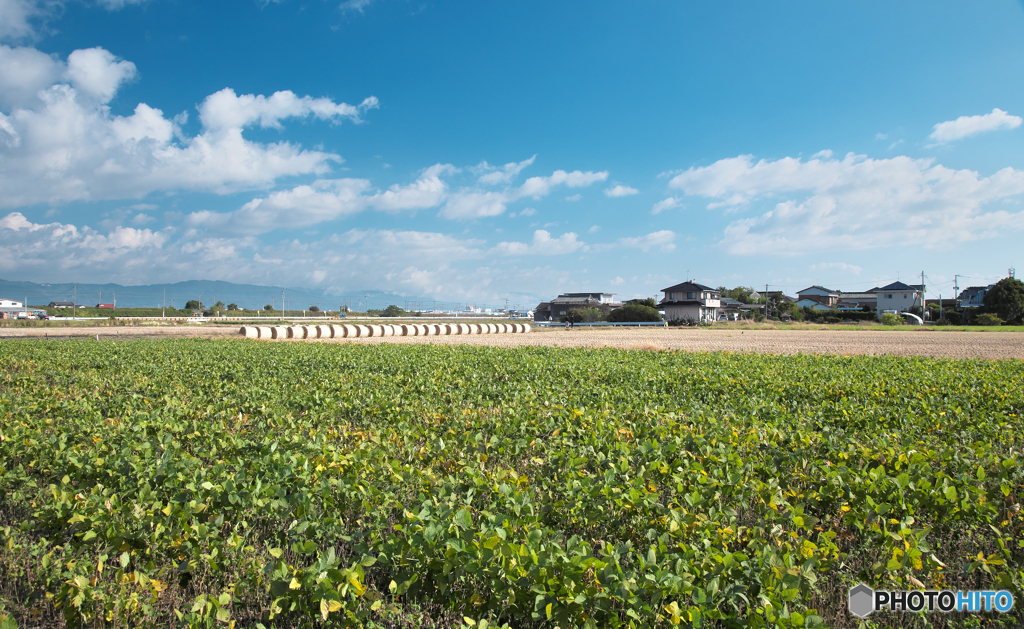 佐賀平野（背振山系方面）