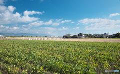 佐賀平野（背振山系方面）