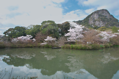 水辺の風景