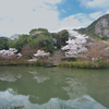 水辺の風景