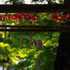 竈門神社の赤い風鈴