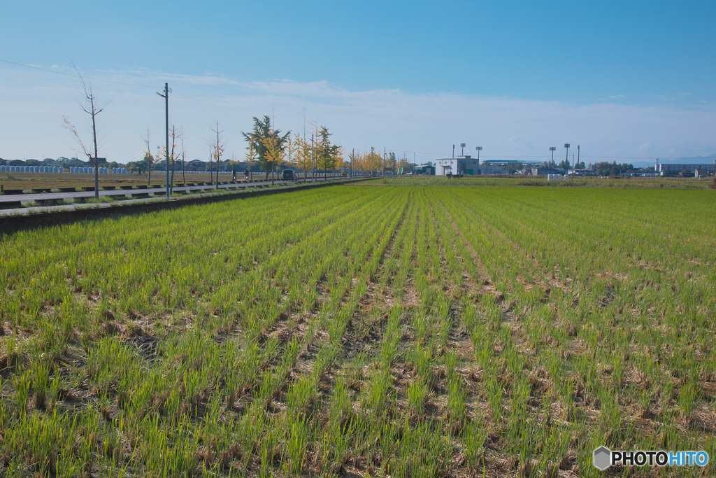 佐賀平野（有明海方面）