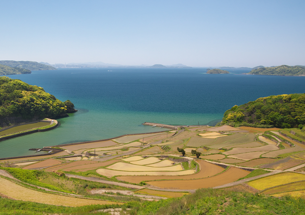 春の棚田