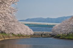 池田川の風景