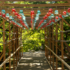 宝満宮竈門神社の風鈴
