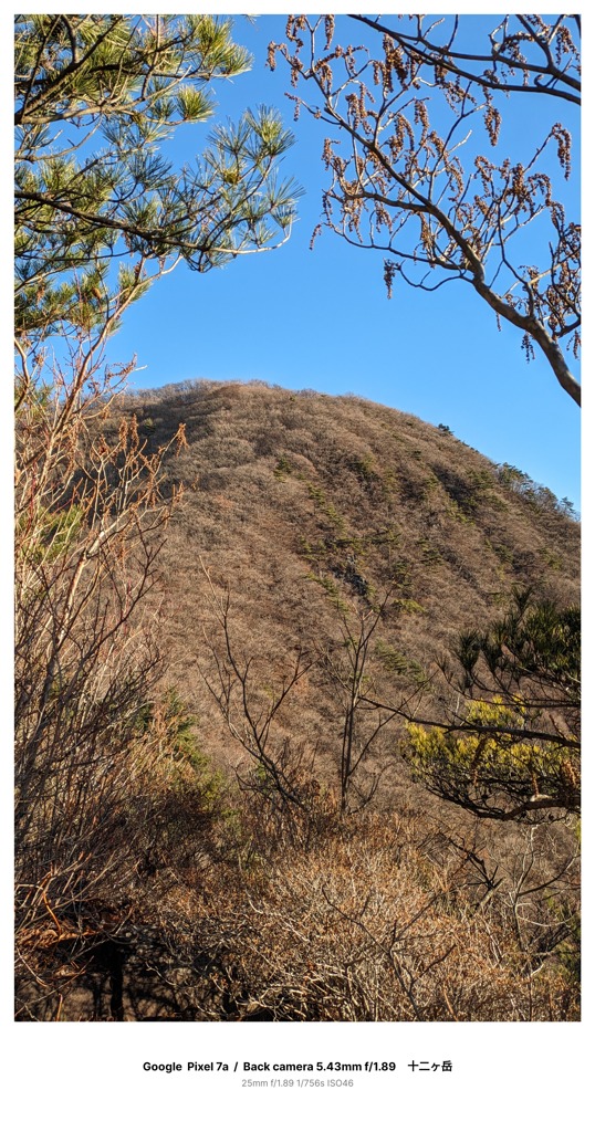 裏山へ