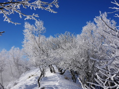 霧氷