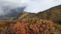 八海山