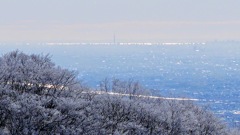 赤城山からスカイツリーと東京湾！