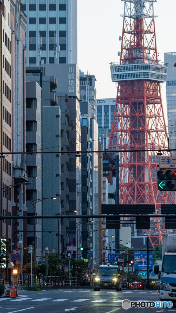 胴体