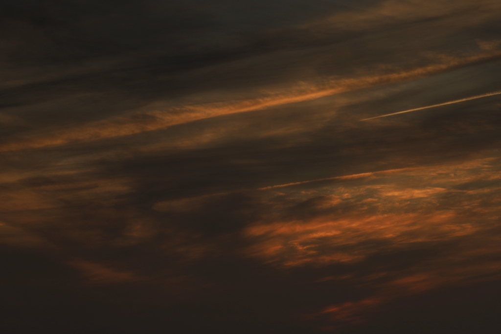 夕暮れの空を飛ぶ