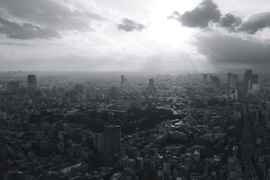 東京