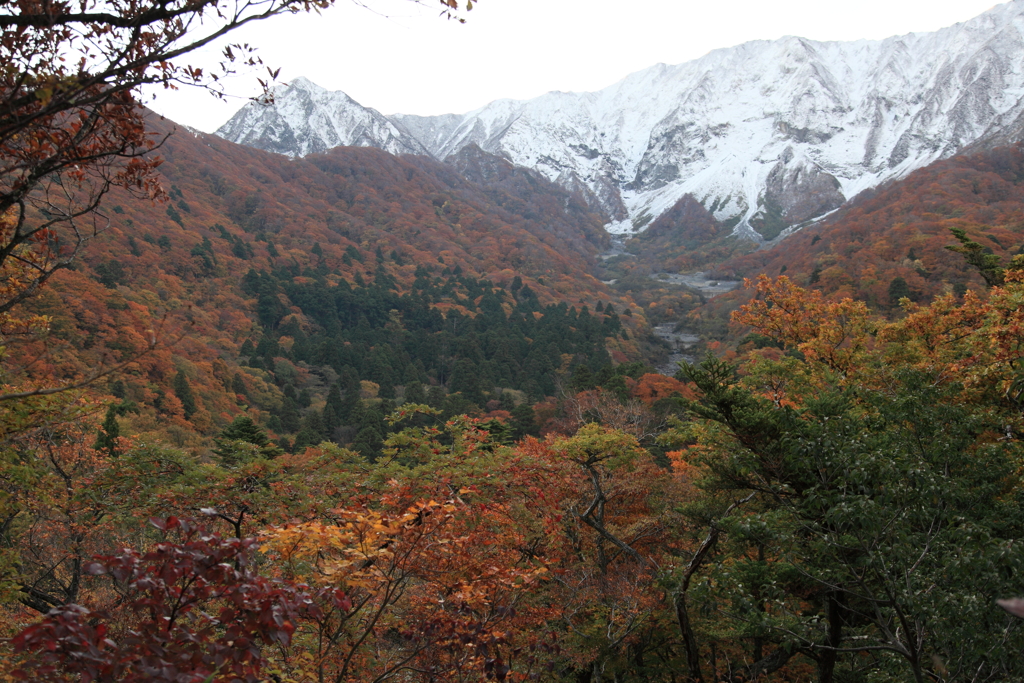 大山と紅葉