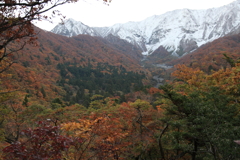 大山と紅葉
