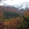 大山と紅葉
