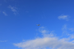 青空のヒコーキ