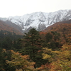 大山の紅葉
