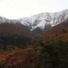 大山と紅葉その2