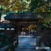 宇治上神社